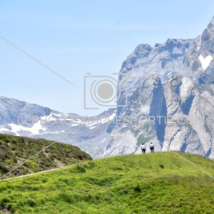 2025:06:19 14:04:17 ROM_2636