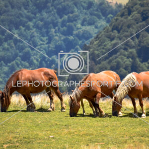 2025:07:22 13:07:49 ROM_6830