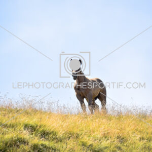 2025:07:22 13:40:27 ROM_6886