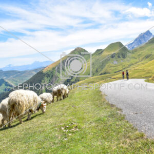 2025:07:22 13:45:14 ROM_6891