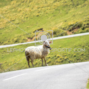 2025:07:22 13:52:23 ROM_6902