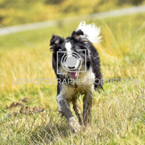 2025:07:22 15:17:34 ROM_7145