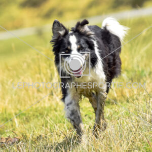 2025:07:22 15:17:48 ROM_7146