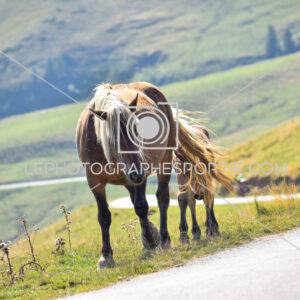 2025:08:10 10:57:38 ROM_5106