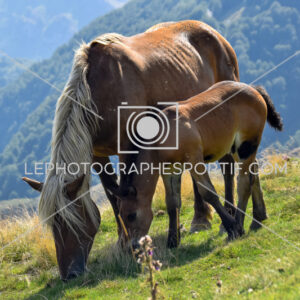 2025:08:10 10:58:33 ROM_5107