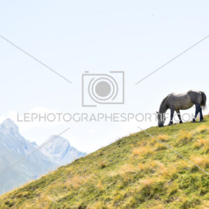 2025:08:10 13:30:00 ROM_5506