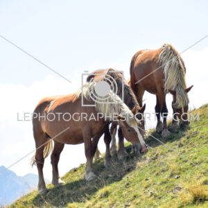 2025:08:10 13:40:05 ROM_5521