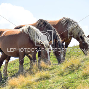 2025:08:10 13:44:21 ROM_5530