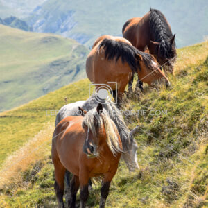 2025:08:10 13:53:27 ROM_5557