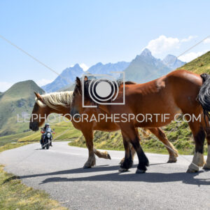 2025:08:10 14:05:39 ROM_5576