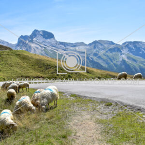 2025:08:04 15:27:05 ROM_2171