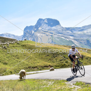 2025:08:04 15:34:44 ROM_2179