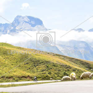 2025:08:03 14:48:09 ROM_1325