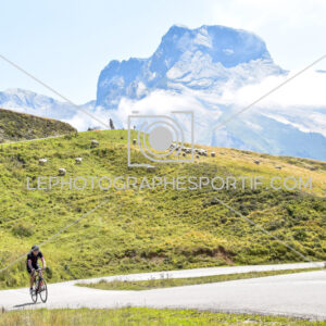 2025:08:03 15:31:49 ROM_1393