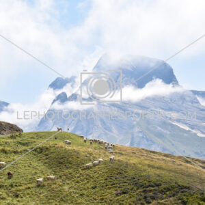 2025:08:23 14:48:42 ROM_9739