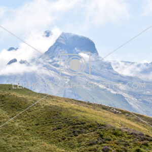2025:08:23 14:55:51 ROM_9747